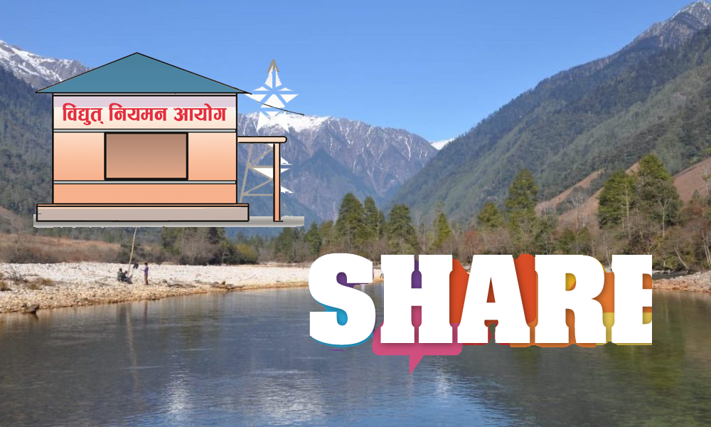 Share approval apply in erc